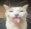 Bleh