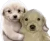 wisherprice