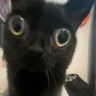 jinx