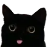 catbleb