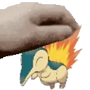 petthecyndaquil