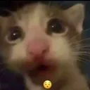 emoji_8