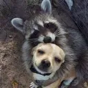 hug