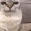 kit_reacting
