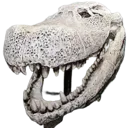 puru_skull