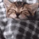 Tuckies Tuckies