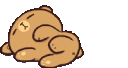 Mocha9