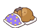 Mocha8