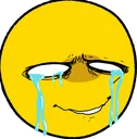 CRYSOB
