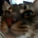 boystare