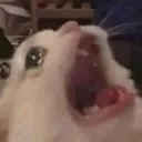 AAAAAAAAAA AAAAAAAAAA