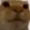Ok