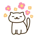 zwhite_flowercat