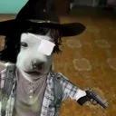 PuppyCarl