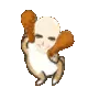 SST_baldlichikin