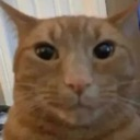 rlly_floppaa Discord emoji