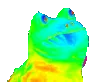 rainbow_frog