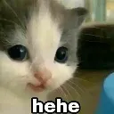 hehe Discord Emoji