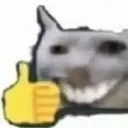 SYK_CatLike