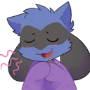 ravcomf ravcomf