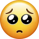 ki_plead ki_plead