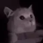 FLASHBANG