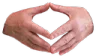 raute