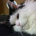 bundleofjoy