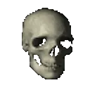 skull_spin