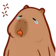 Capybara_tired_sleep Capybara_tired_sleep
