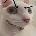 ayo ayo