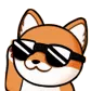 Corgi_Sunglasses_Head_Shake