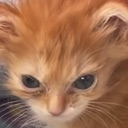 Iwokeuplikethis Discord emoji