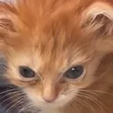 Iwokeuplikethis