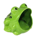 bz_frogAAAOW