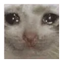 SadCatBall