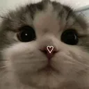 i_