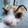 sus_floppaa Discord emoji