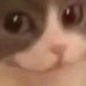 stare_floppaa Discord emoji