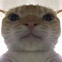 deathstare deathstare
