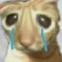 sadcat
