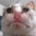 anuglysob