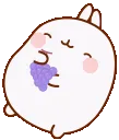 MEat