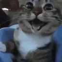 happy