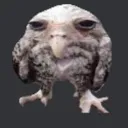 birb