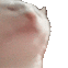 catjamnuke