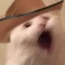 ROOBHEER