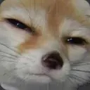 squint squint