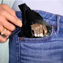 crow_pocket