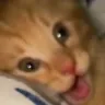 cosmicawhensozo